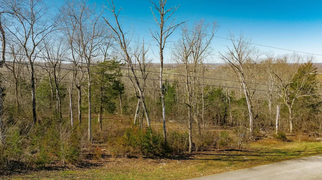 80 Deer Trail Monticello KY 42633