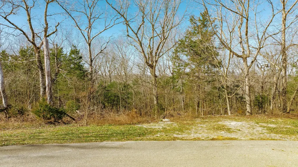 80 Deer Trail Monticello KY 42633