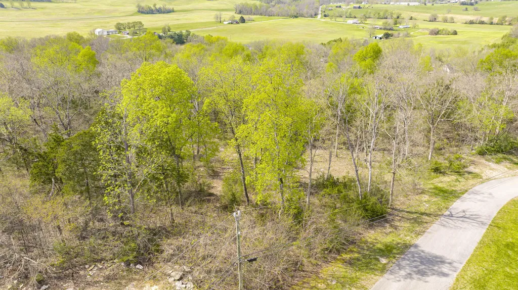 80 Deer Trail Monticello KY 42633