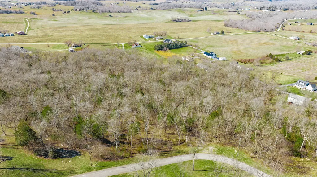 80 Deer Trail Monticello KY 42633