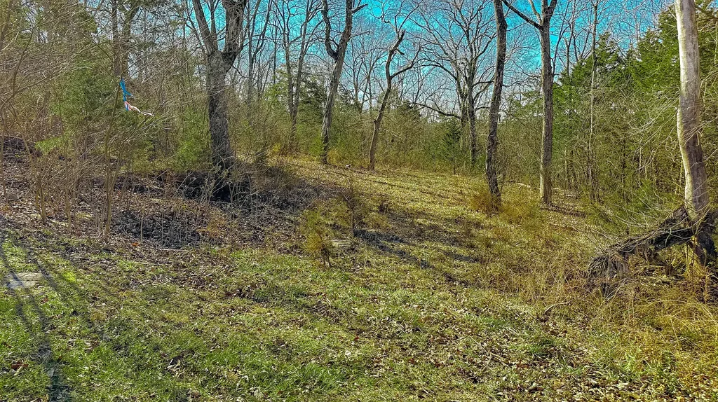 80 Deer Trail Monticello KY 42633
