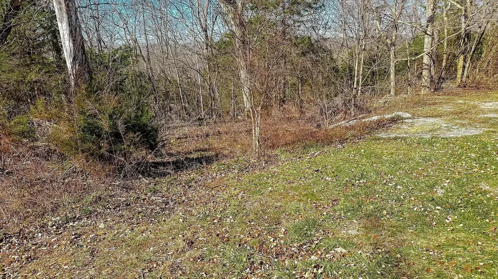 80 Deer Trail Monticello KY 42633