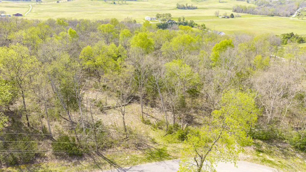 80 Deer Trail Monticello KY 42633