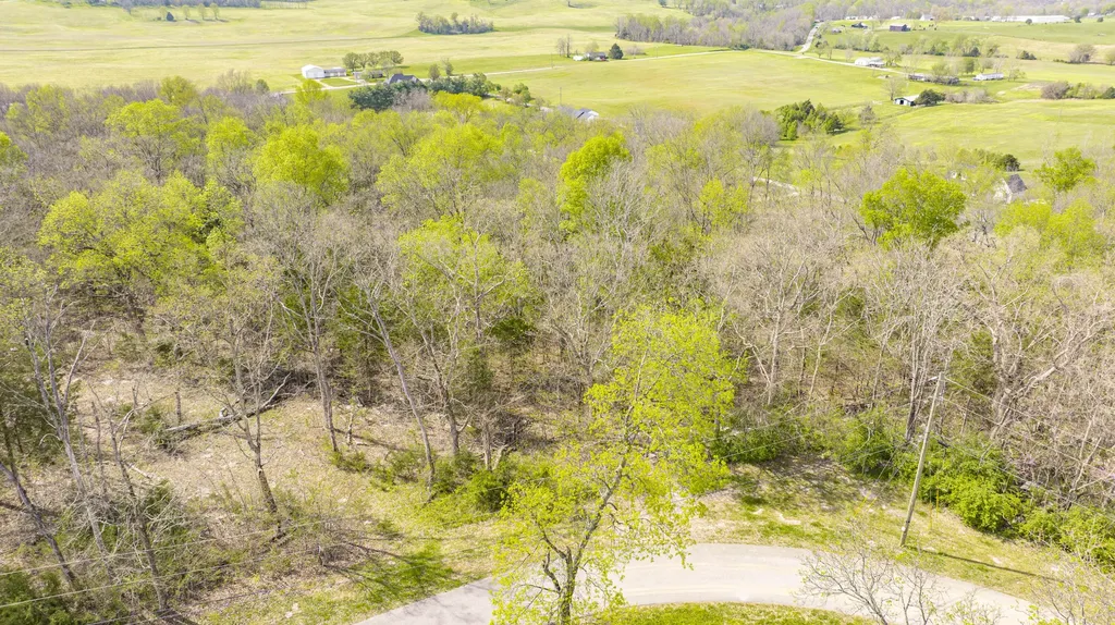 80 Deer Trail Monticello KY 42633