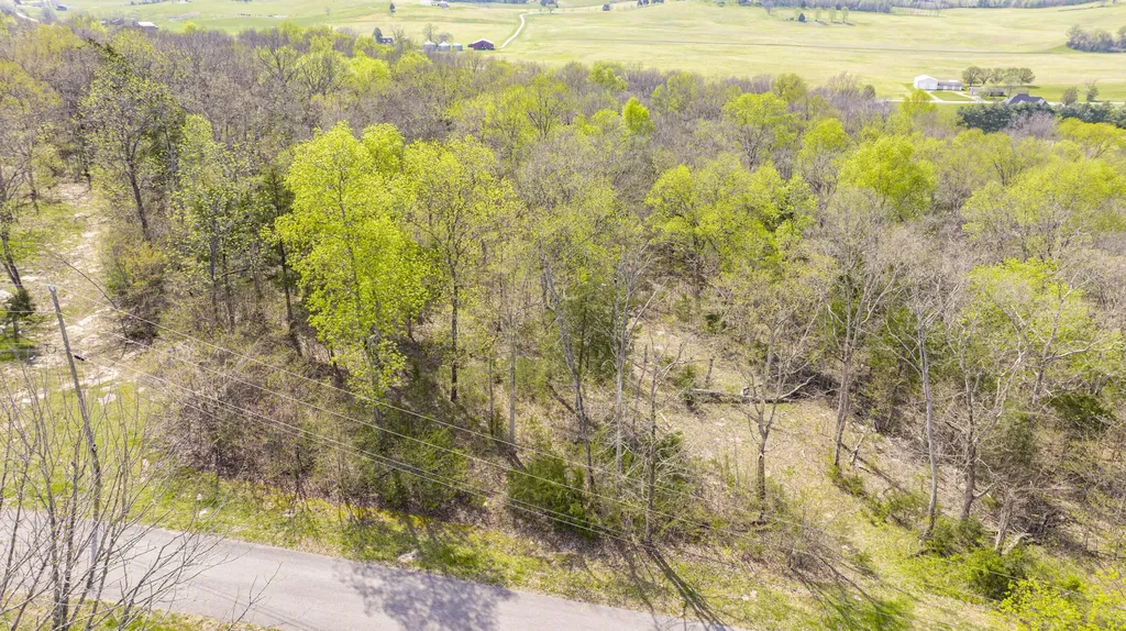 80 Deer Trail Monticello KY 42633