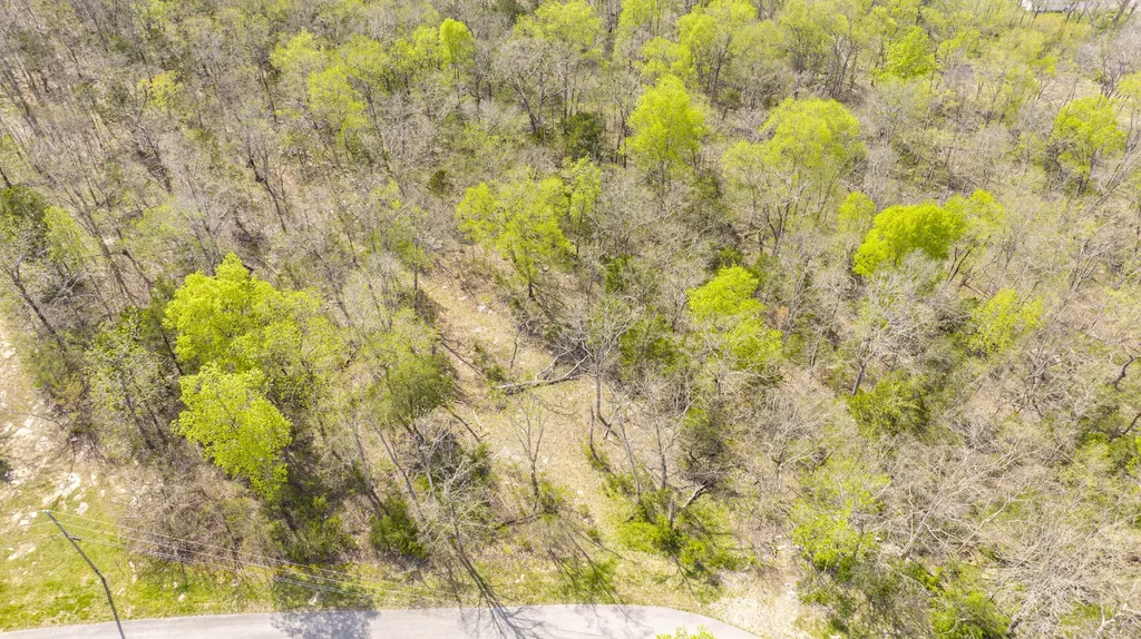 80 Deer Trail Monticello KY 42633
