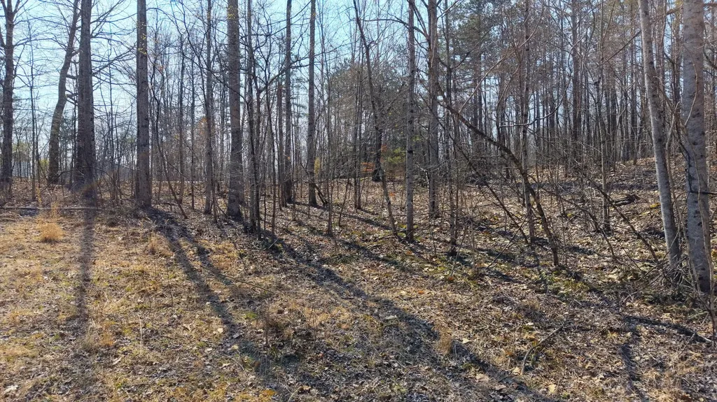 5 Sand Hill Road Livingston KY 40445