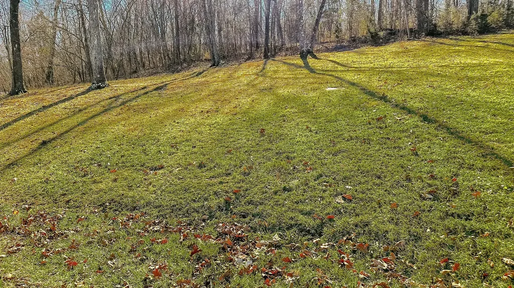 158 Wild Rose Drive Monticello KY 42633