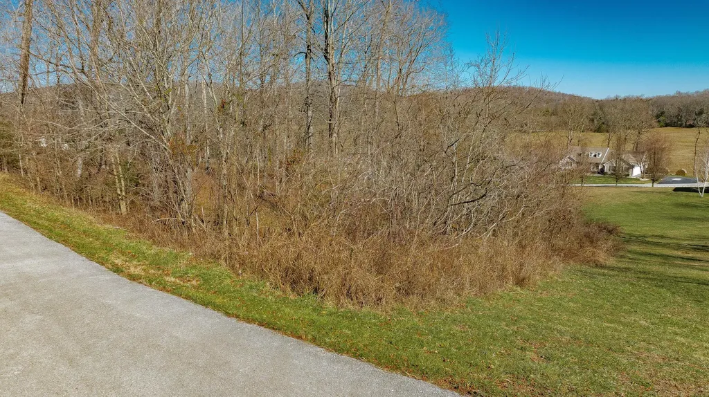 97 Wild Rose Drive Monticello KY 42633