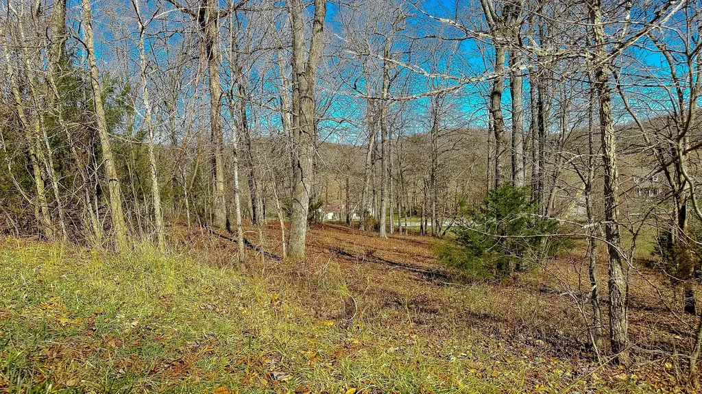97 Wild Rose Drive Monticello KY 42633