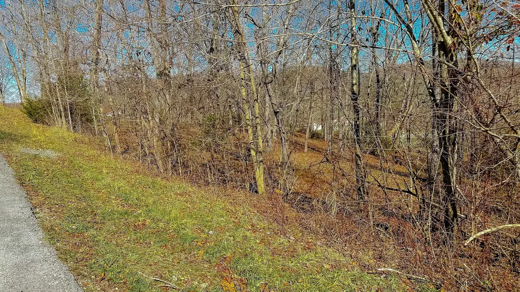 97 Wild Rose Drive Monticello KY 42633