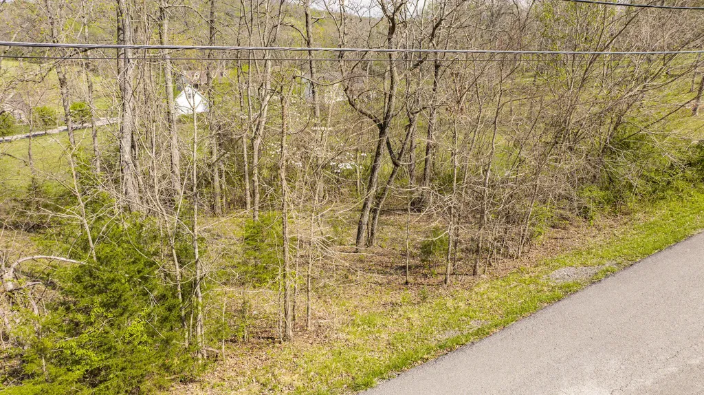 97 Wild Rose Drive Monticello KY 42633