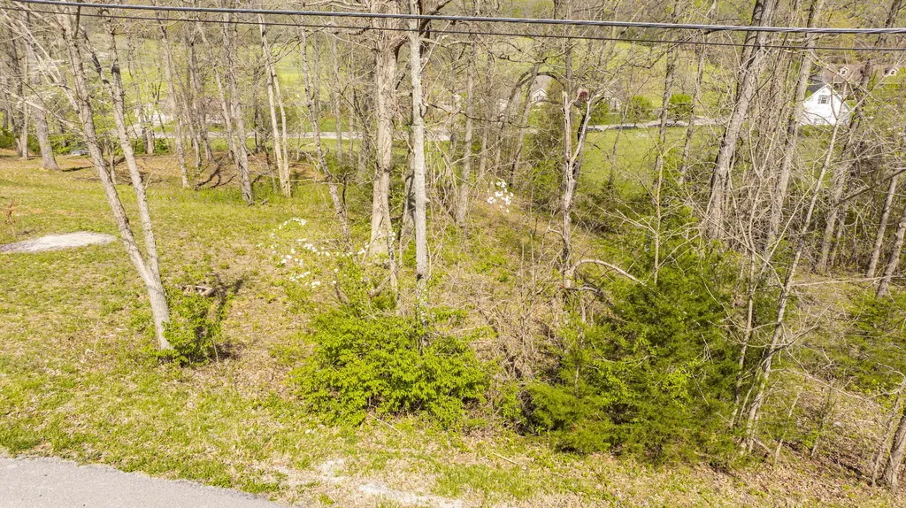 97 Wild Rose Drive Monticello KY 42633