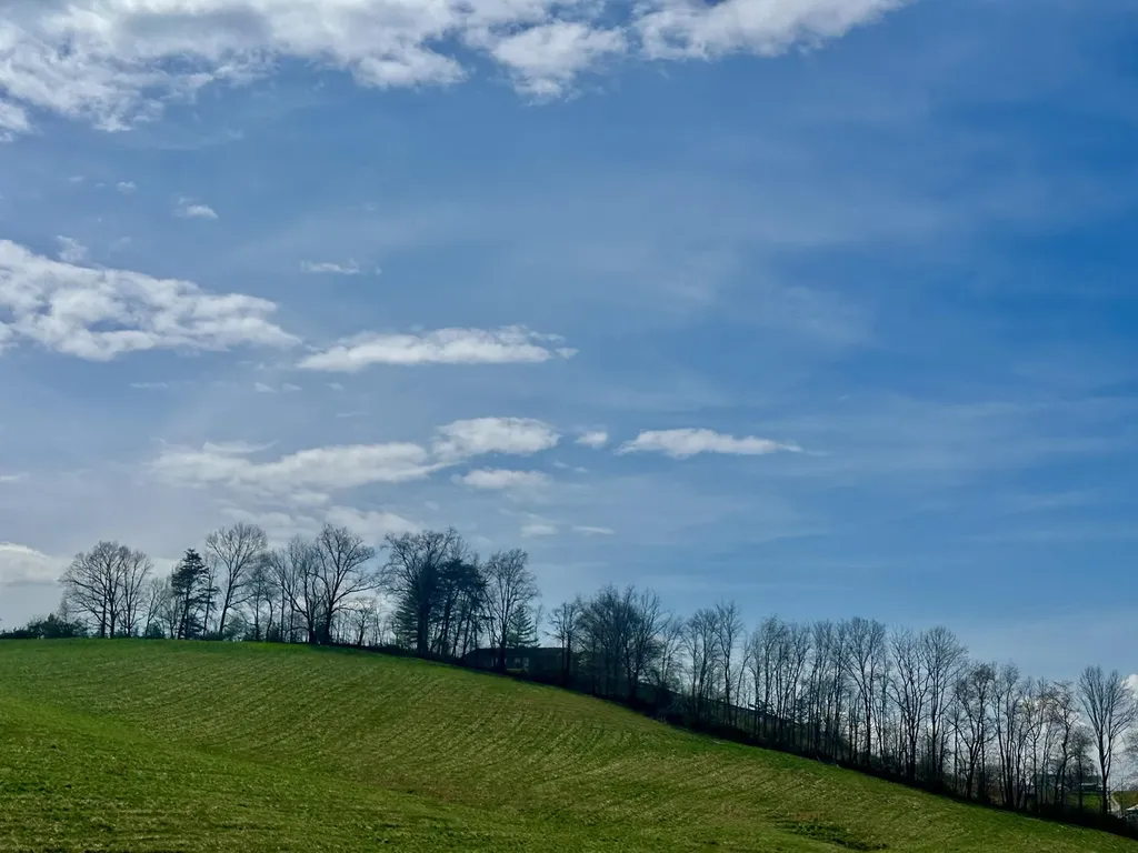 133 Jaguar Way London KY 40741