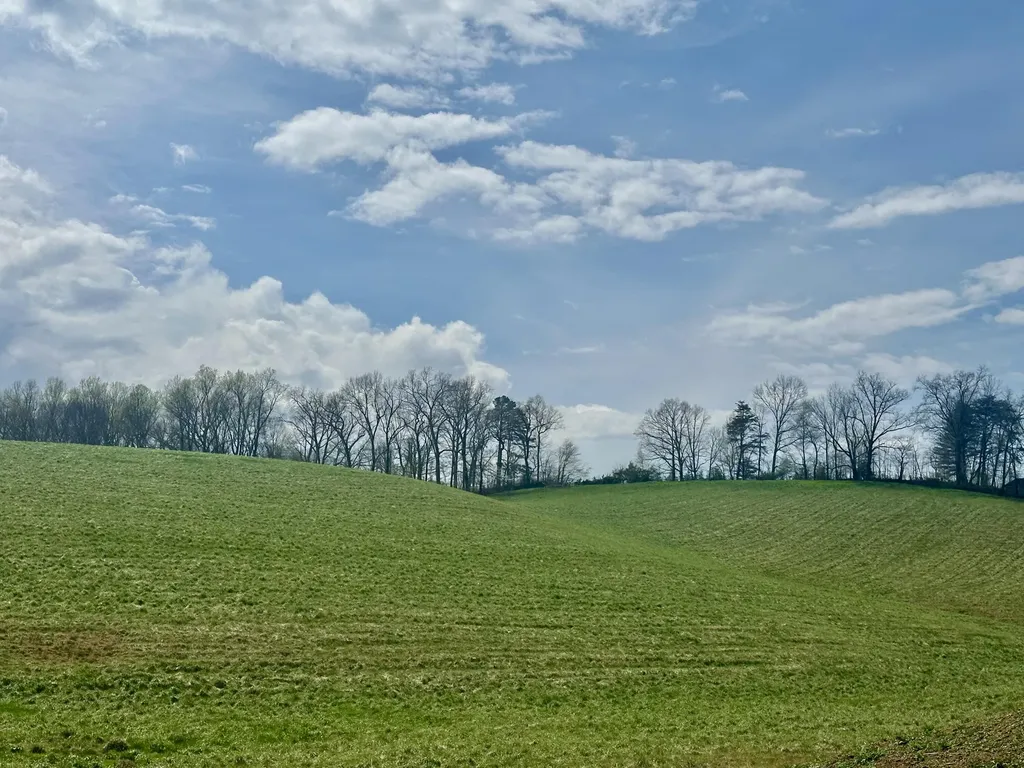 133 Jaguar Way London KY 40741