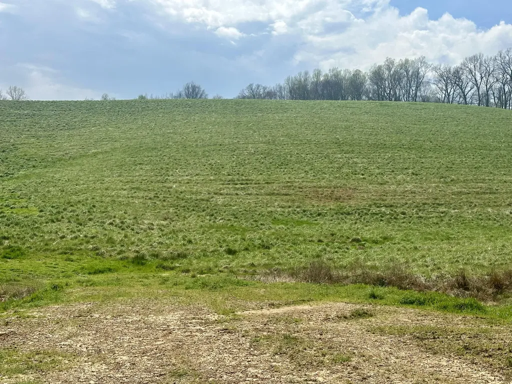 133 Jaguar Way London KY 40741