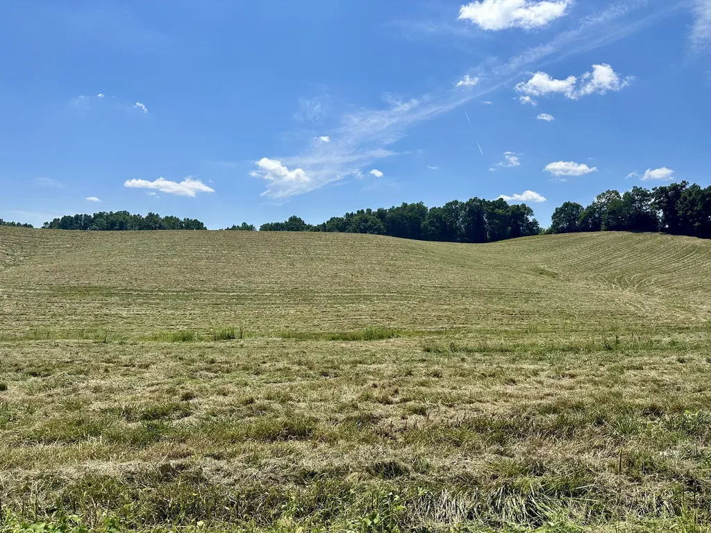 133 Jaguar Way London KY 40741