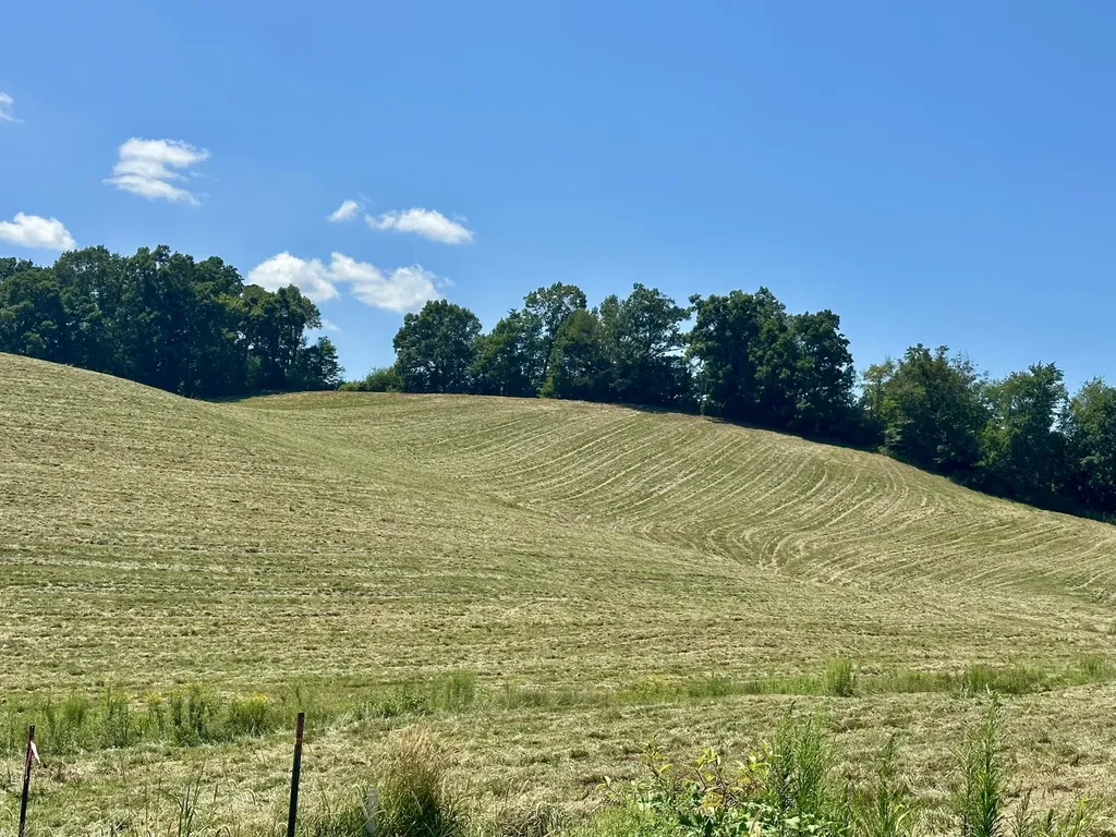 133 Jaguar Way London KY 40741