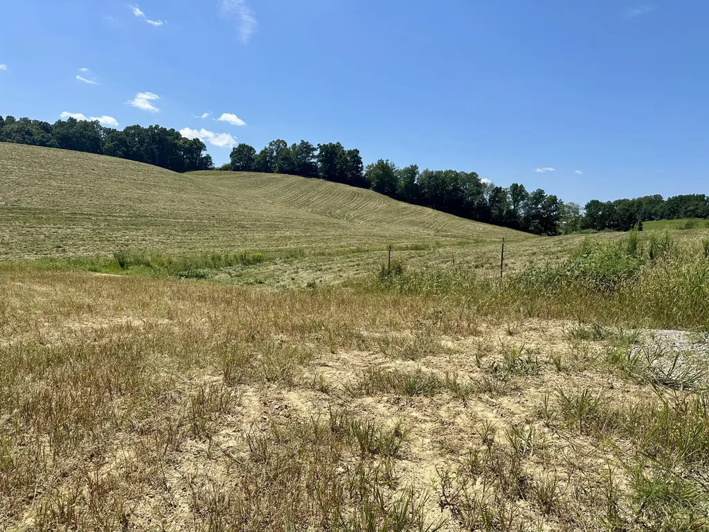 133 Jaguar Way London KY 40741