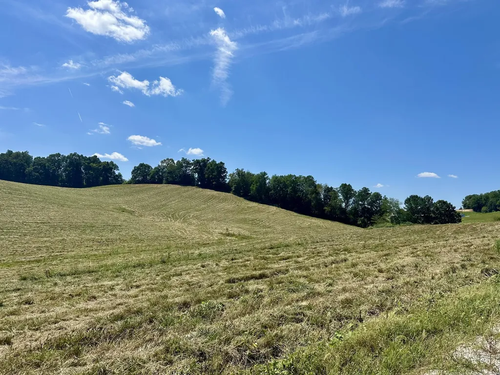133 Jaguar Way London KY 40741
