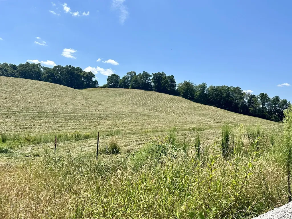 133 Jaguar Way London KY 40741