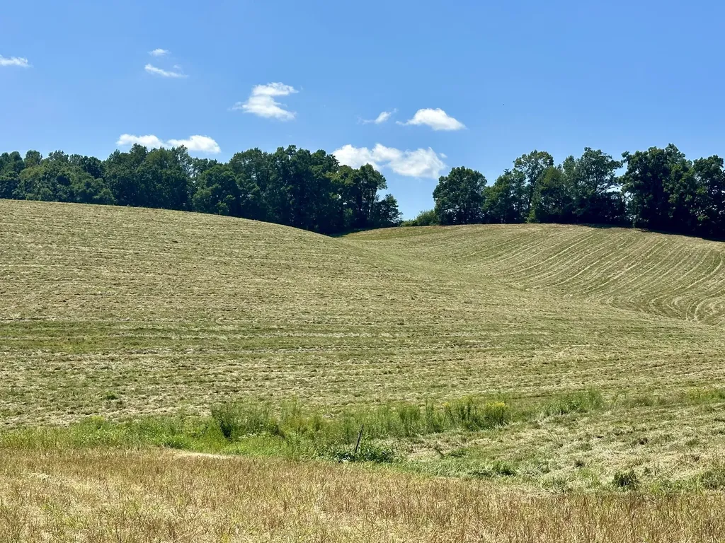 133 Jaguar Way London KY 40741