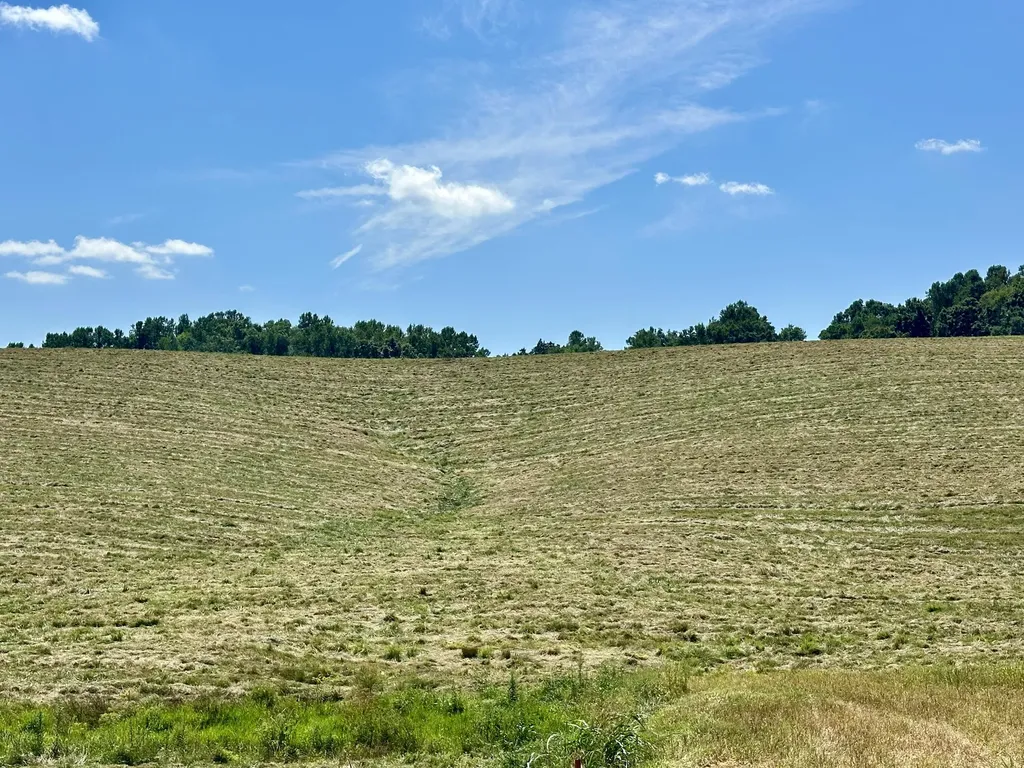133 Jaguar Way London KY 40741