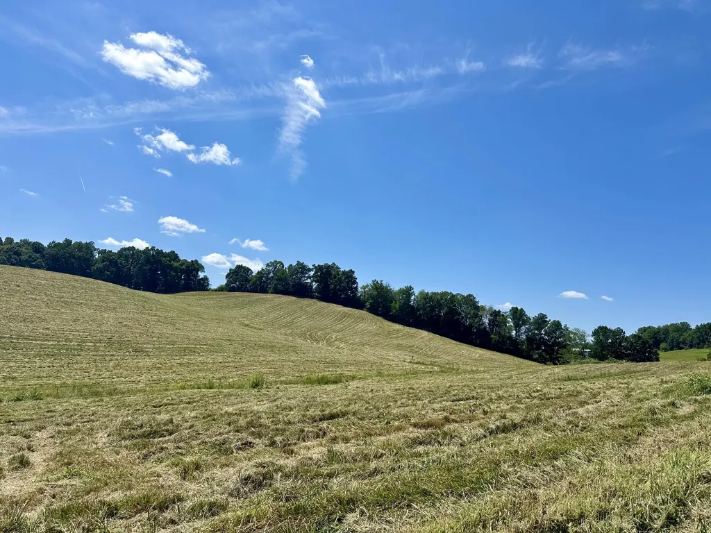 133 Jaguar Way London KY 40741