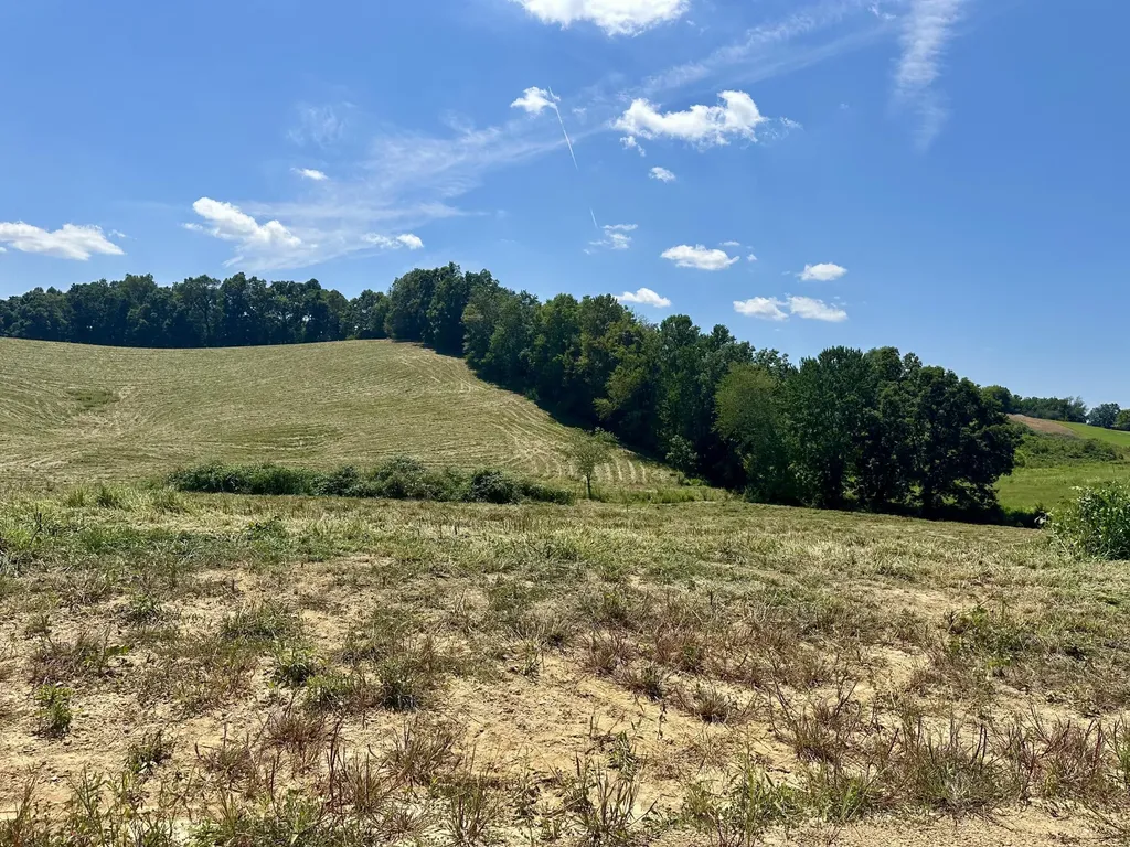 133 Jaguar Way London KY 40741