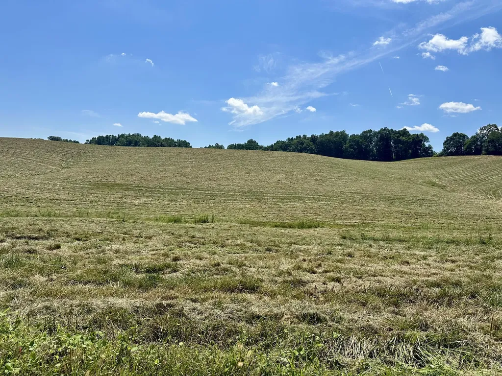 133 Jaguar Way London KY 40741