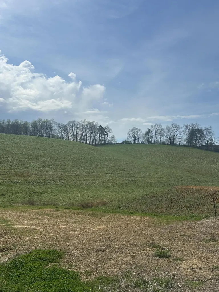 133 Jaguar Way London KY 40741
