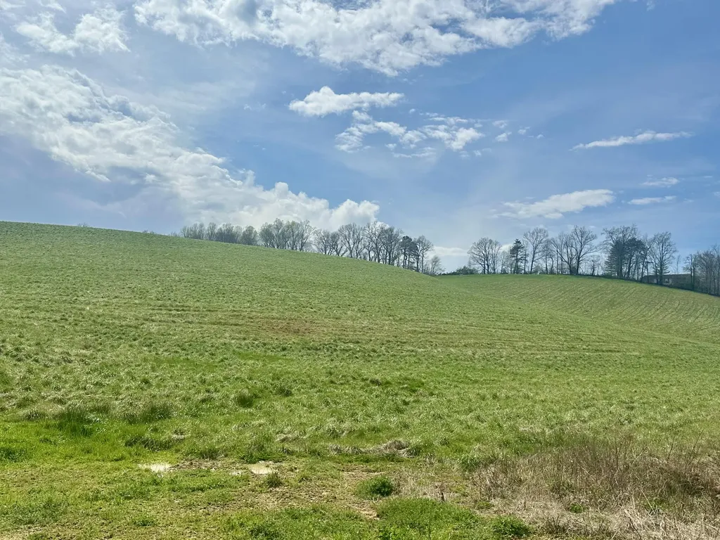 133 Jaguar Way London KY 40741
