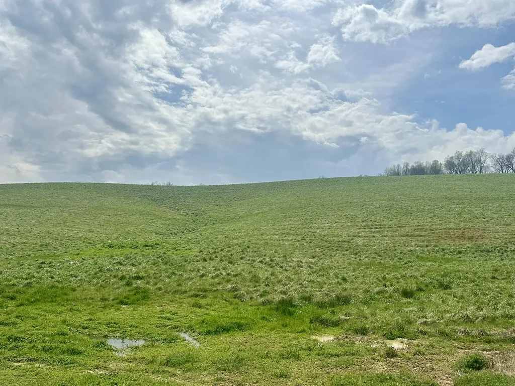 133 Jaguar Way London KY 40741