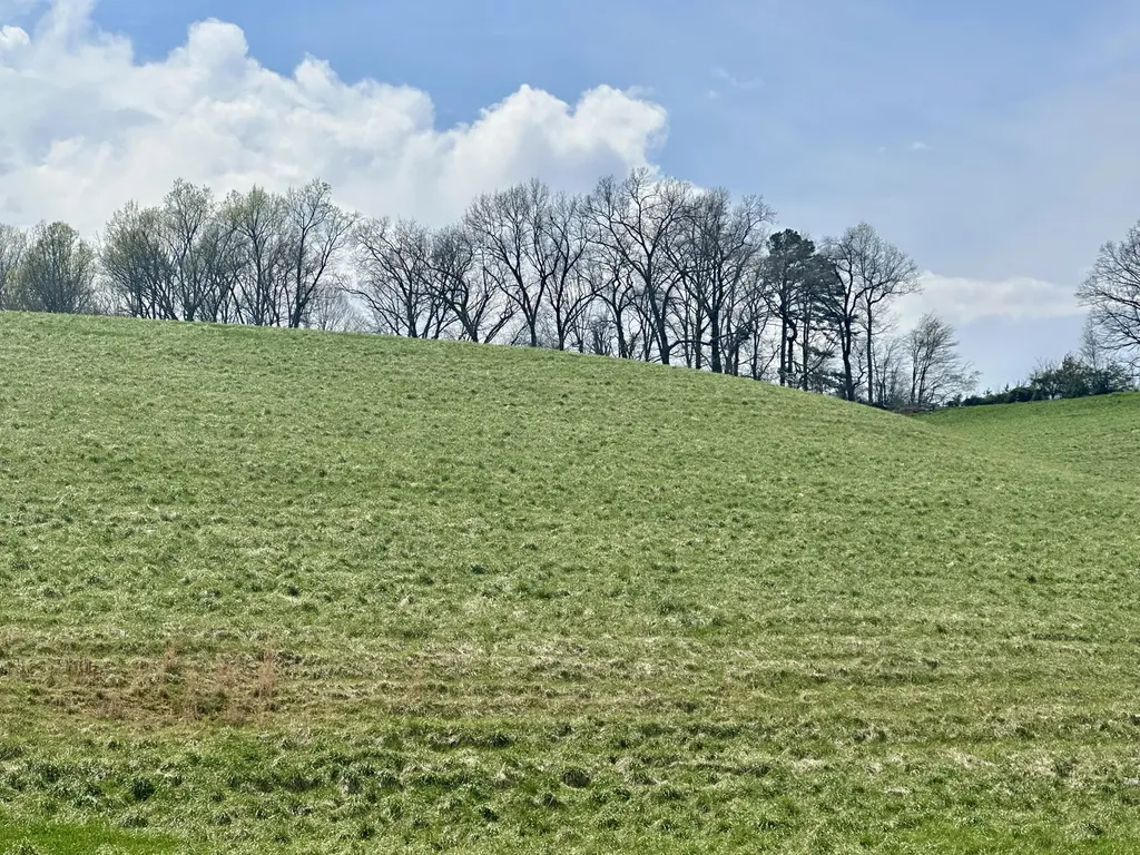 133 Jaguar Way London KY 40741