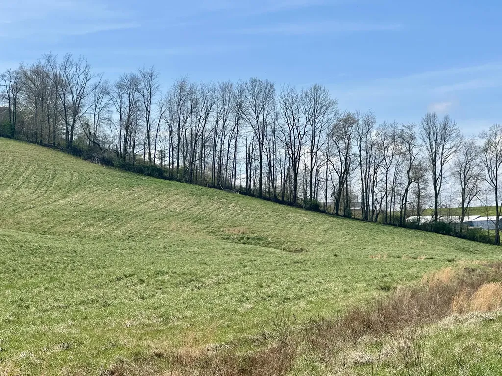133 Jaguar Way London KY 40741