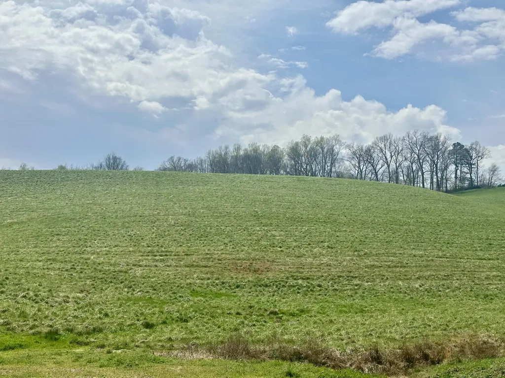 133 Jaguar Way London KY 40741