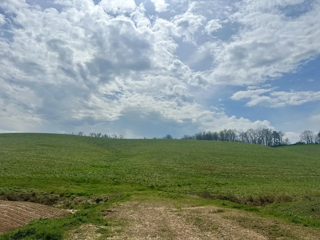133 Jaguar Way London KY 40741