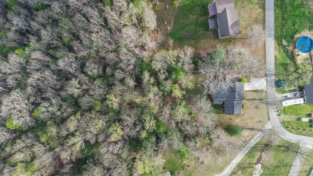 648 Murphy Subdivision Road Stearns KY 42647