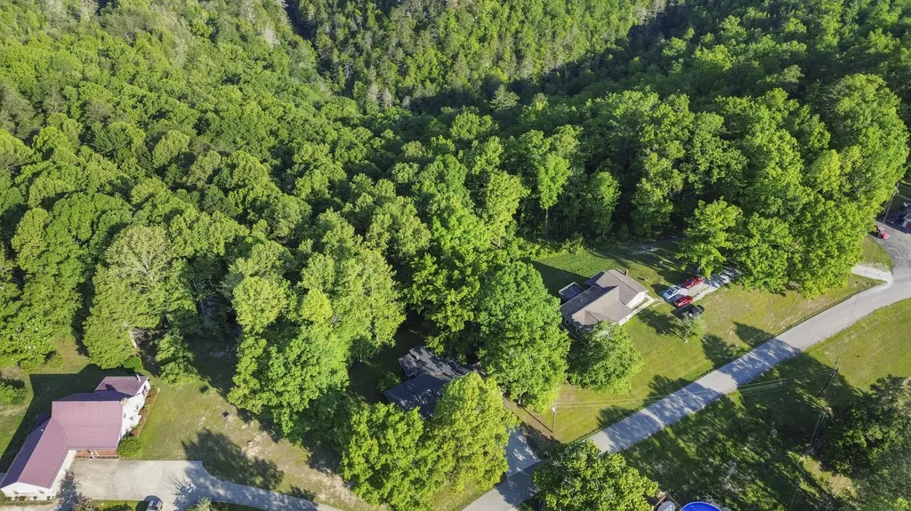648 Murphy Subdivision Road Stearns KY 42647