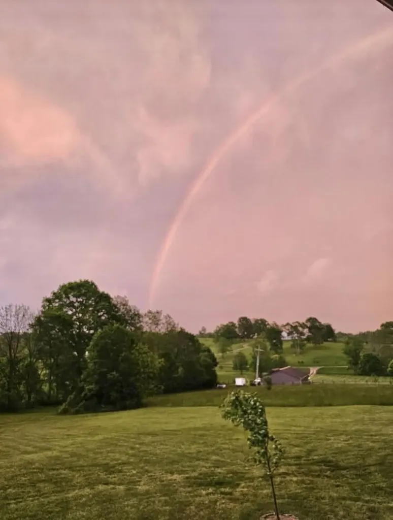 784 Locust Fork Road Stamping Ground KY 40379