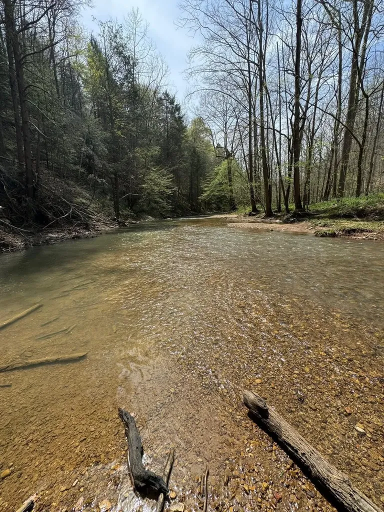 2518 Tark Hill Road Sand Gap KY 40481