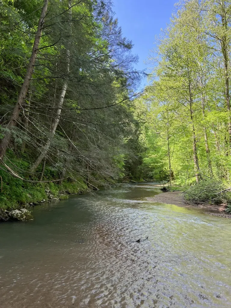 2518 Tark Hill Road Sand Gap KY 40481