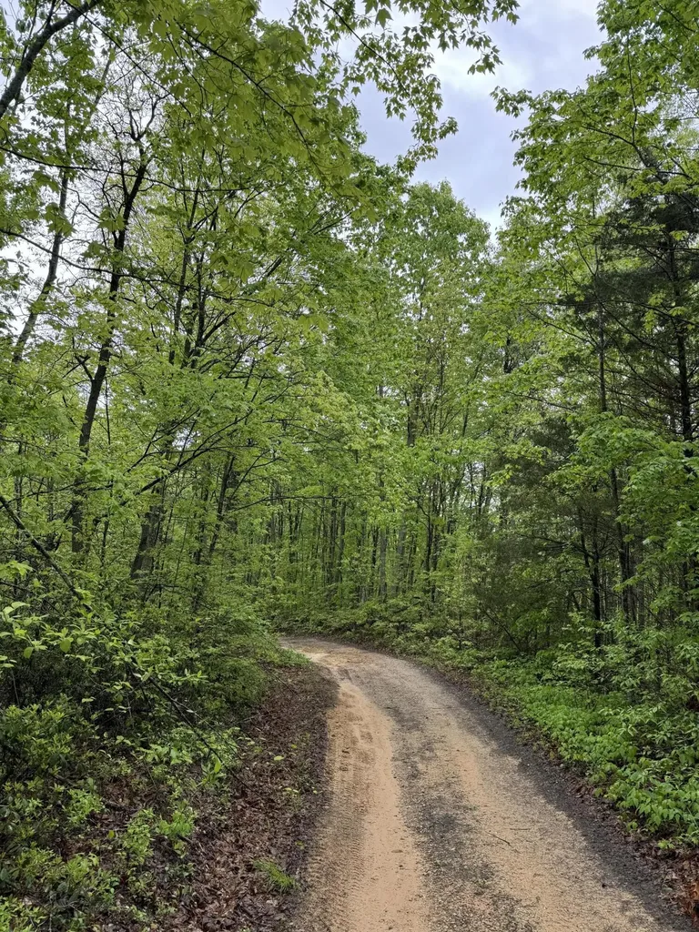 2518 Tark Hill Road Sand Gap KY 40481
