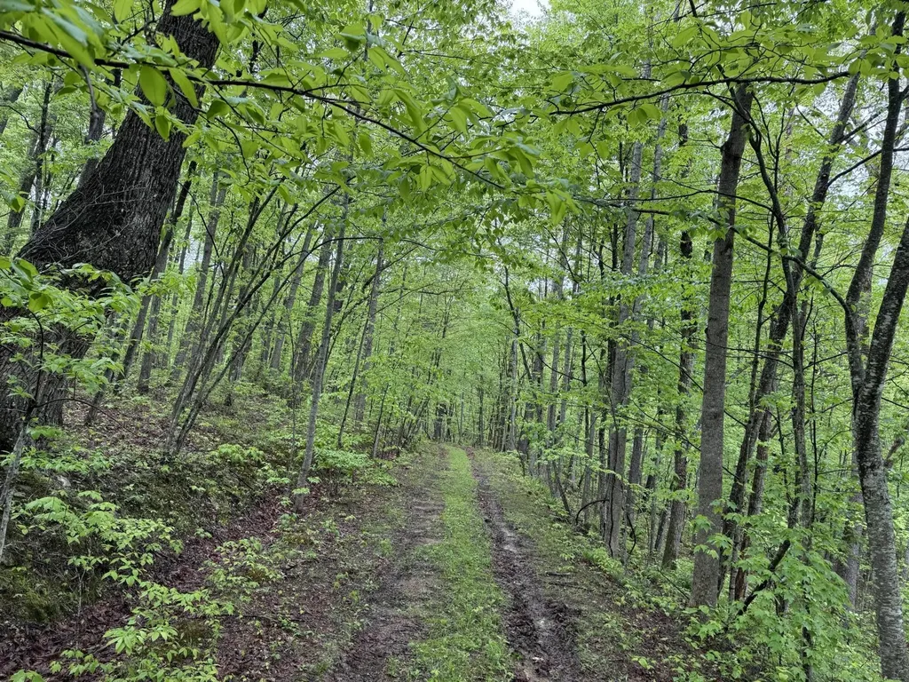 2518 Tark Hill Road Sand Gap KY 40481