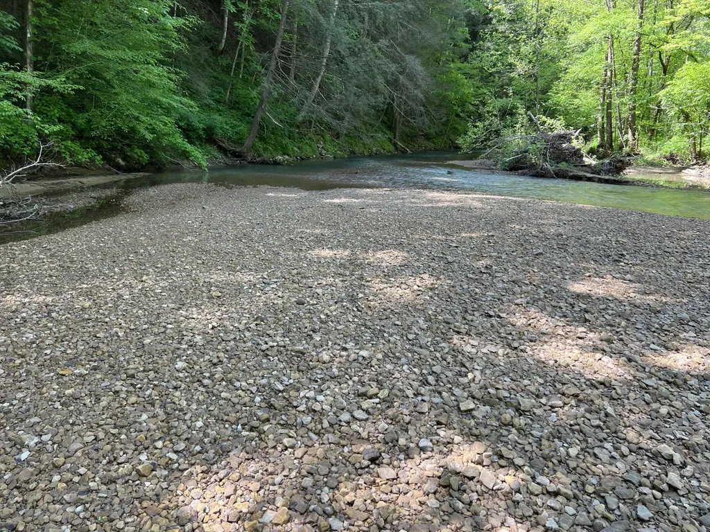 2518 Tark Hill Road Sand Gap KY 40481