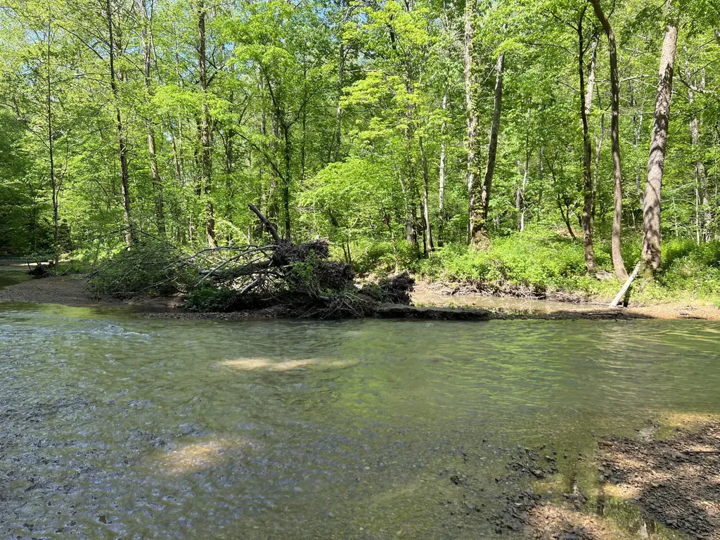 2518 Tark Hill Road Sand Gap KY 40481