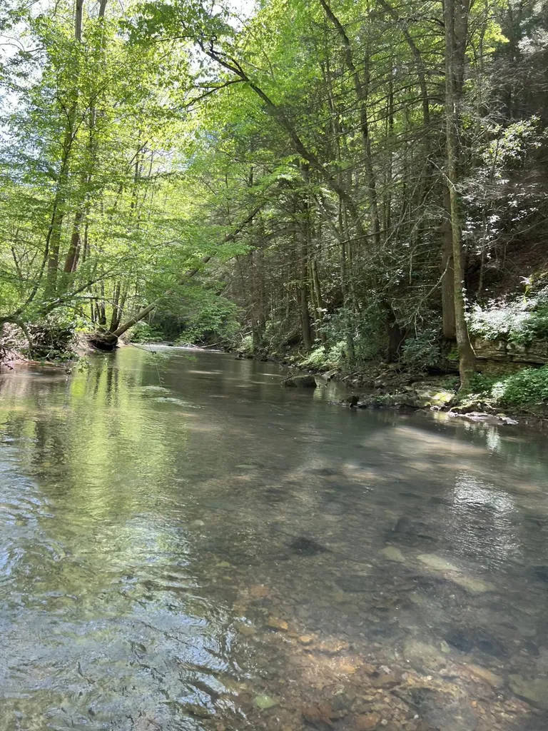 2518 Tark Hill Road Sand Gap KY 40481