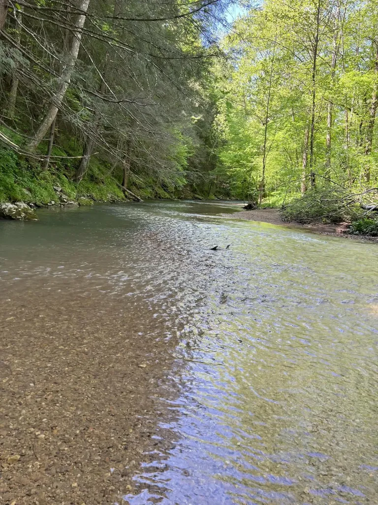 2518 Tark Hill Road Sand Gap KY 40481