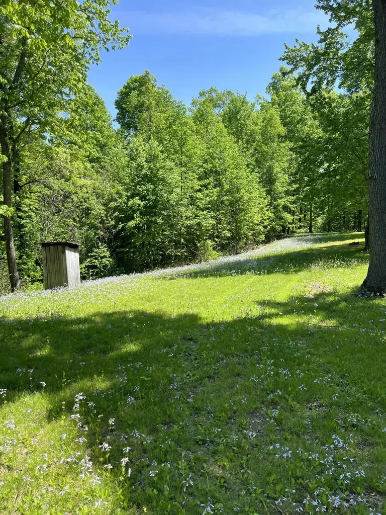 2518 Tark Hill Road Sand Gap KY 40481