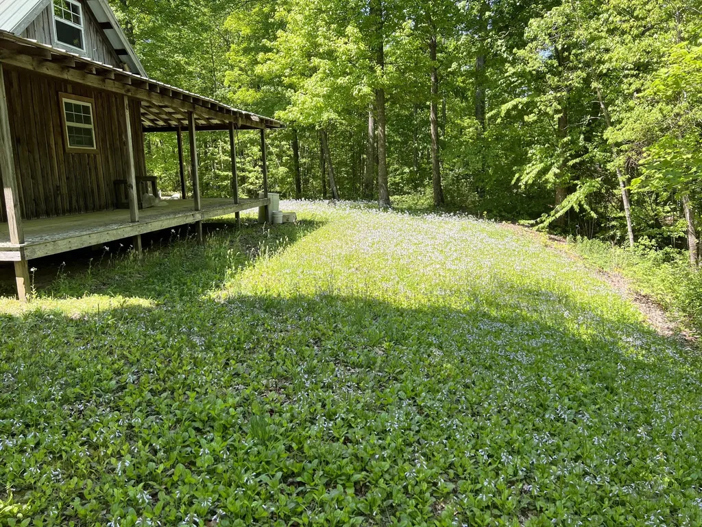 2518 Tark Hill Road Sand Gap KY 40481